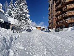 唯美冬天雪景动态壁纸-美丽冬季雪景高清动态壁纸 - 未来Mac下载