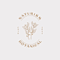 Botanical logo design template olive oil floral logo feminine logo beauty logo