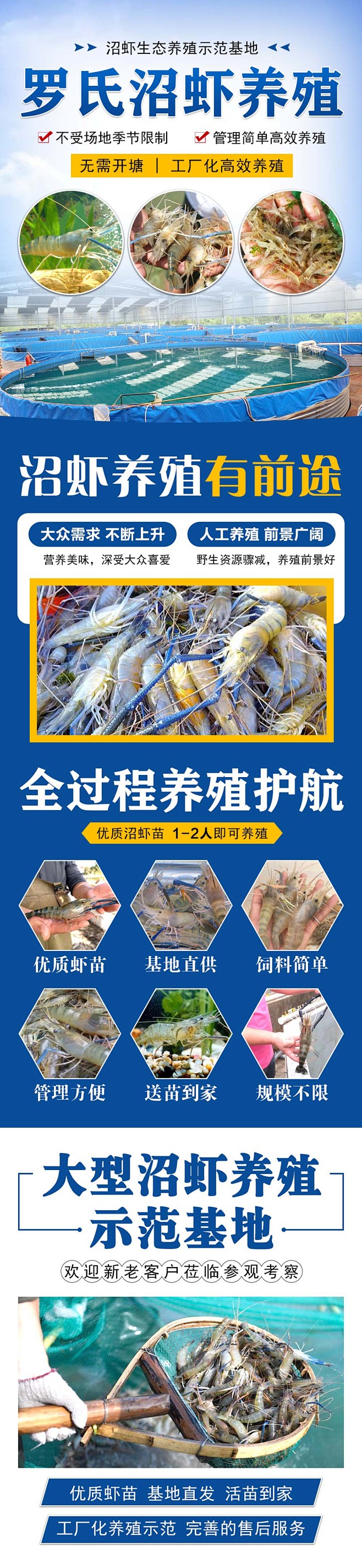 罗氏沼虾养殖(头条）