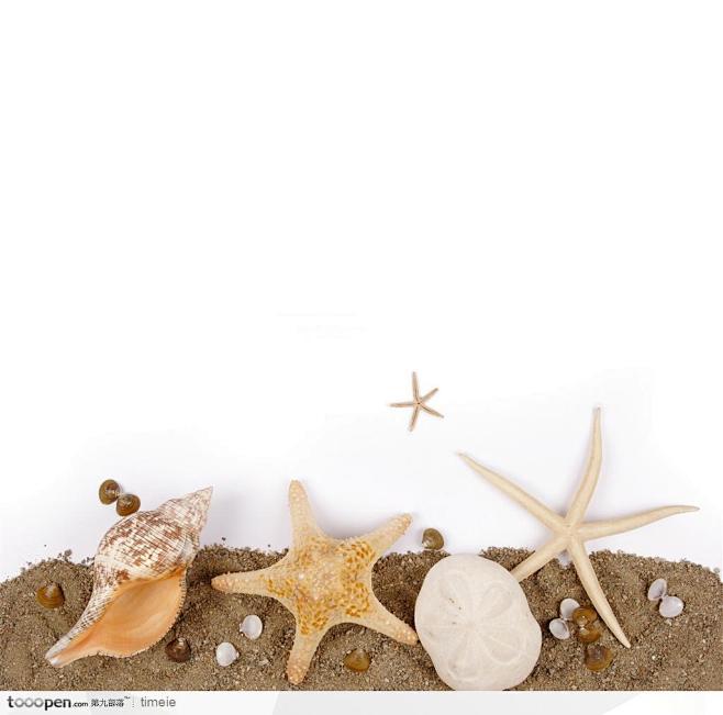 高清海洋沙滩贝壳--海星 海螺高清摄影桌...
