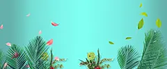 春季新品,春天,春季,春夏,女装,淘宝,,春装,春游,报春,叶子,,立春,春暖花开,,,,图库,png图片,网,图片素材,背景素材,4537714@飞天胖虎