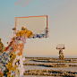 animation  automotive   basketball Classical floral Flowers grif nft S