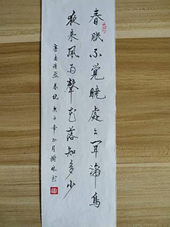 康川家采集到书法