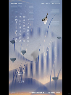 li是啥采集到系列海报