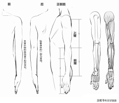 奶绿装芒采集到动作/局部画法