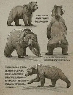 A place to learn how to draw (1)圣诞节 Christmas 可爱 温暖 温馨 有趣 好玩 鹿 圣诞老人 雪橇鹿 拉雪橇 雪人 下雪 姜饼 圣诞树 