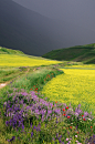 gyclli:<br/>Castelluccio, Umbria, Italy<br/>I campi attorno Castelluccio di Norcia /  by p.pacitti <br/>