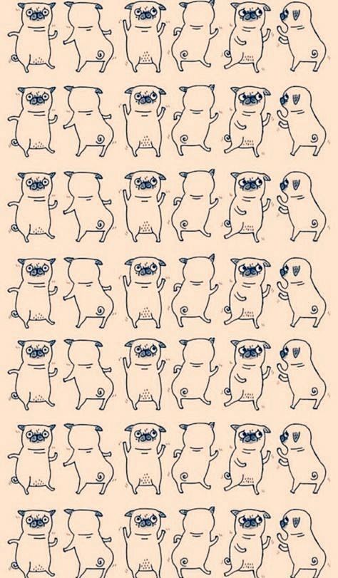 Pugs/ walpaper: 