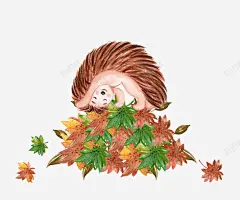 手绘可爱刺猬插画 免费下载 页面网页 平面电商 创意素材