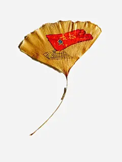 手绘树叶免抠素材_新图网 https://ixintu.com 手绘银杏叶 红色 长征旗 黄色