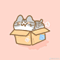 哎呀总是忘了我有微博
今天画的盒子猫猫们 ​​​​