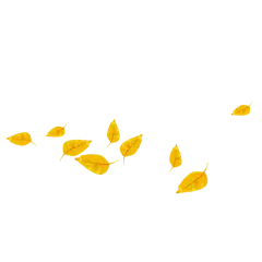 秋天的叶 叶子 装饰元素免抠png图片壁纸