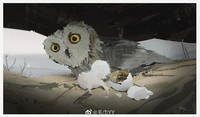 毛巾YY的照片 - 微相册
