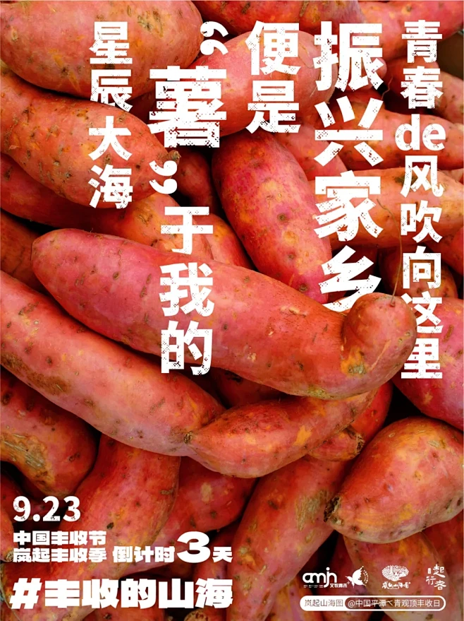 中国丰收节 | 文旅运营人的丰收 - 小...