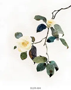 古风手绘插画