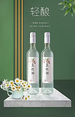 【素材能量站】广告 海报 电商 果酒 合成 空间搭建 绿色 饮品 餐饮 饮料|1000179 