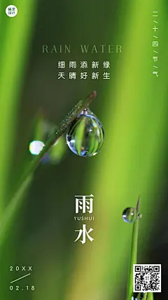 雨水节气清新实景手机海报