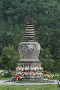 杜鹃与🦌采集到古代石碑石塔