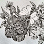 动物线描画的搜索结果_百度图片搜索