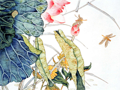 后期修图-Steven采集到数码摄影后期工笔画