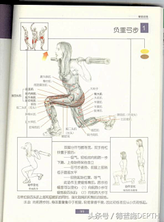 细嚼慢咽采集到养生保健