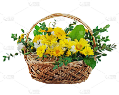 小卡尔采集到AAA花艺,花篮,花瓶