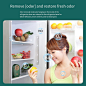 Refrigerator Deodorizer Fridge Deodorizer Rechargeable Odor Wholesale | AliExpress