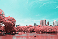 苦瓜大王⊙☉采集到风景类