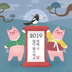 梅花喜鹊 礼服小猪 新年卷轴 2019新年插图插画设计PSD ti462a0205