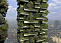 World’s-First-Vertical-Forest