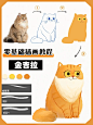 4步教你画金吉拉猫猫|零基础绘画教程