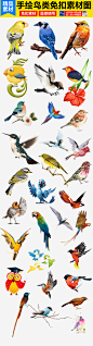 水彩手绘鸟类小鸟设计元素免扣素材透明背景