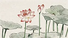 佛系电脑壁纸高清图片_百度图片搜索