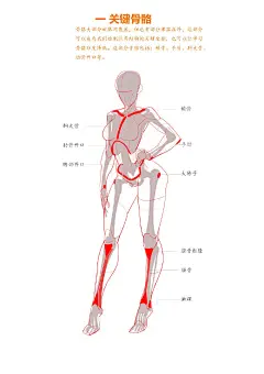 人体骨骼运动和绘画的关系_1_堂绘艺术家马克笔2号VIP_来自小红书网页版