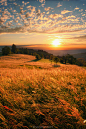 Photograph Summer is Here by Clement Fayet on 500px