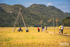 Van_W采集到02-LA类型|  田园 乡村 新农村