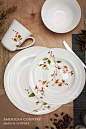 盘子 陶瓷 外贸餐具 西餐盘 套装 创意 美式乡村风味