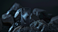 ls7623_Photo_of_the_back_side_of_a_black_colored_HONOR_brand_sm_50d5fe94-1b0f-4ae0-b316-eb7889d9222f