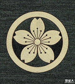 鱼日-叶子采集到花纹