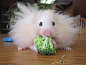 Broccoli Makes Me Fluffy