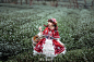 谢安然lolita (808)