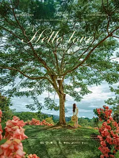 版纳|中科院植物园，电影海报般的梦幻机位