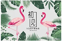 3d北欧ins火烈鸟网红墙纸咖啡餐厅卧室客厅服装花店婚庆植物壁纸-淘宝网