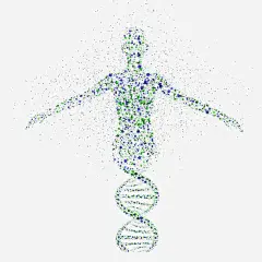 基因png免抠素材_新图网 https://ixintu.com 基因 细胞 干细胞 DNA DNA遗传基因 人类基因 生物学 医疗科学 人物