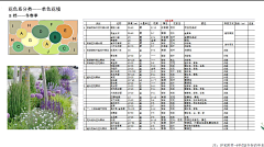 橘子时空采集到植物专项排版