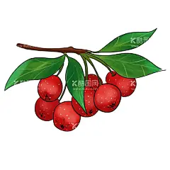 山楂插画素材  - 源文件下载【酷图网】手绘山楂,手绘山楂果,山楂插画,山楂果插画,手绘山楂插画,卡通山楂,卡通手绘山楂,卡通山楂果,卡通山楂插画,卡通山楂素材,手绘山楂素材,山楂插画素材,山楂素材,山楂果素材,