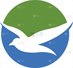 模板,品牌名称,海鸥,风,迅速,翅膀,自然美,动物,鸟类