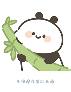 玉米儿粒采集到ip