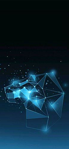 叁叁叁叁叁叁啦采集到星座