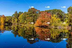 墙纸 自然 景观 户外 风景秀丽的 美丽的 秋天 高清壁纸 颜色